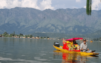 Scenic view of Dal Lake in Kashmir with shikara boats, a famous Bollywood filming location.